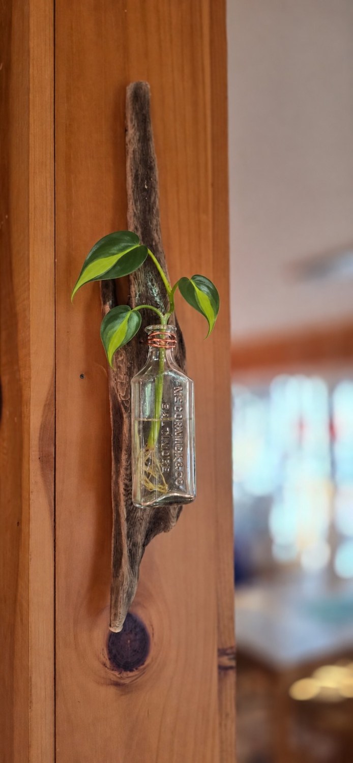 Embossed Bottle Wall Vase styled with leafy cutting