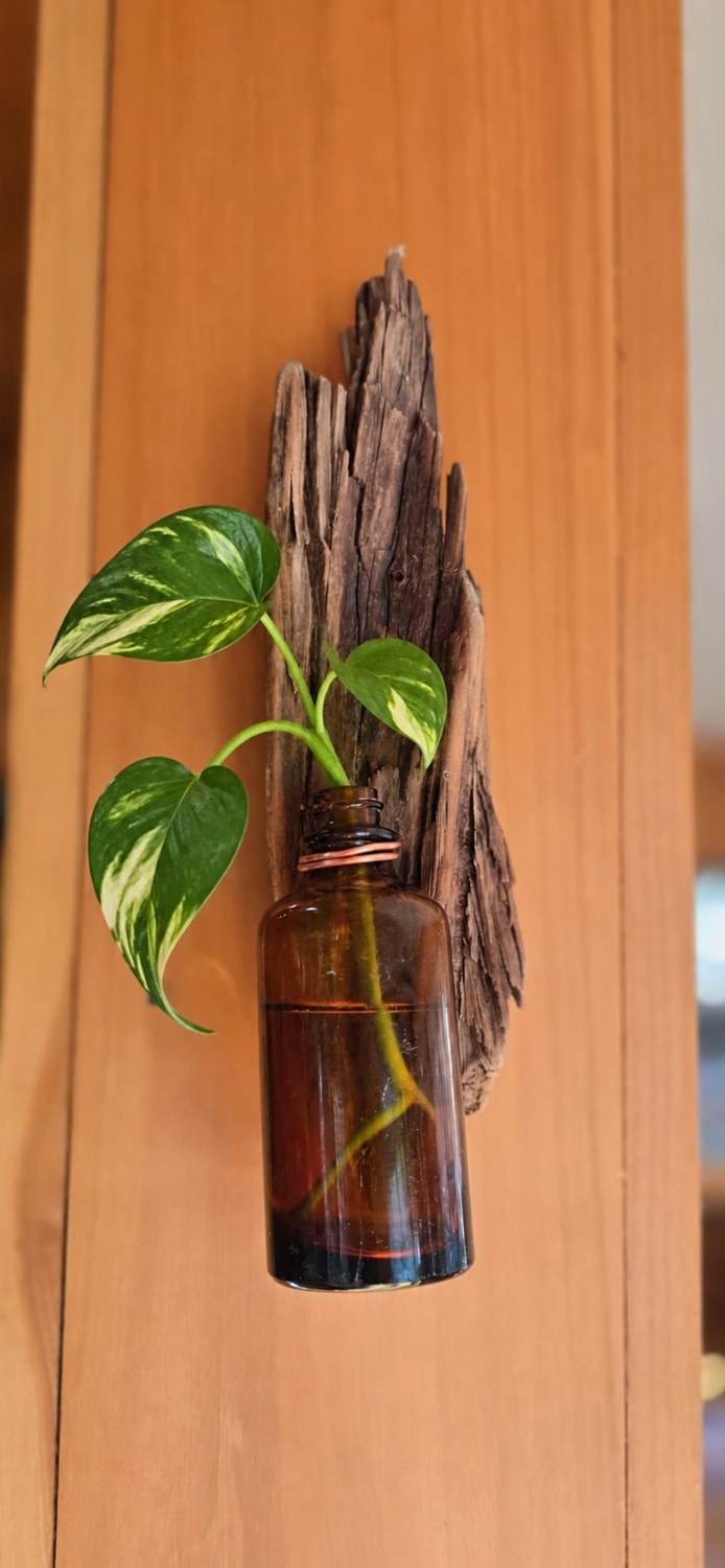 Amber Bottle Wall Vase: Leafy cutting