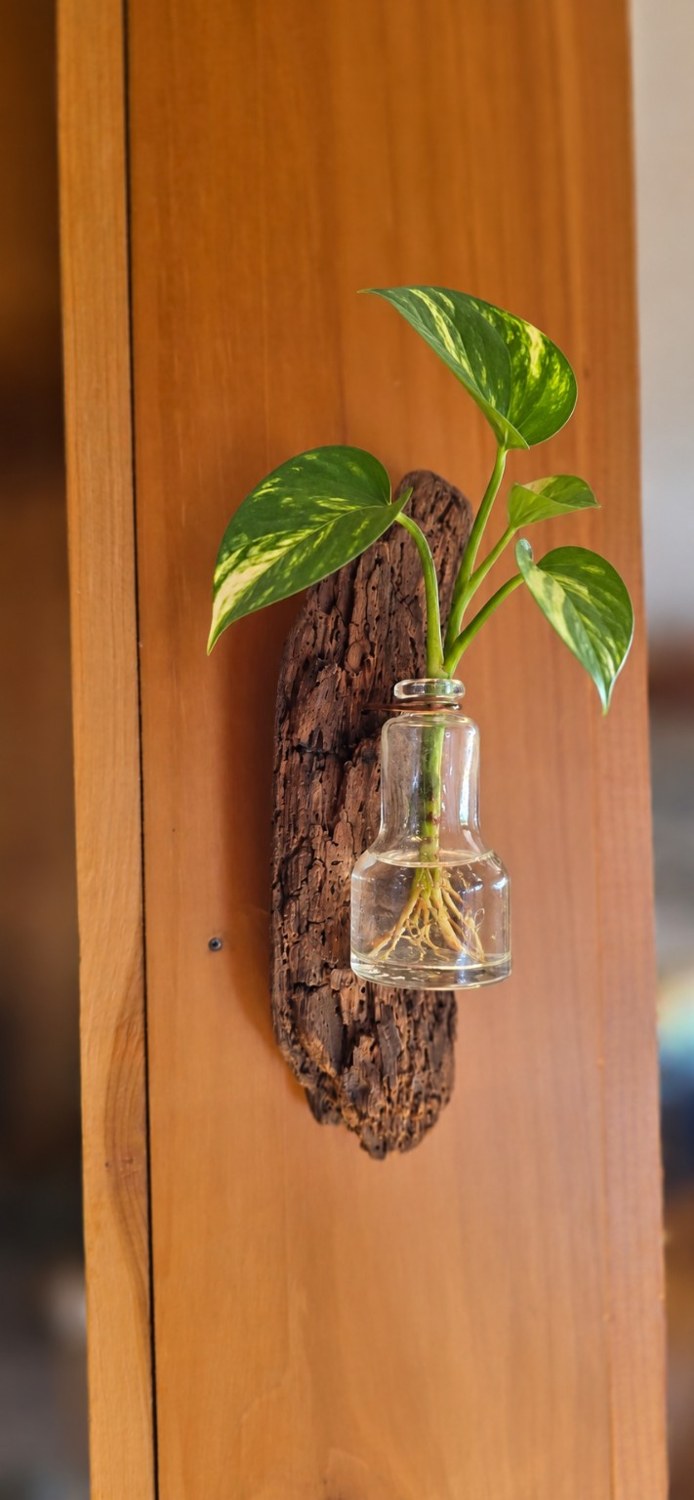 Flared Bottle Wall Vase: Leafy cutting