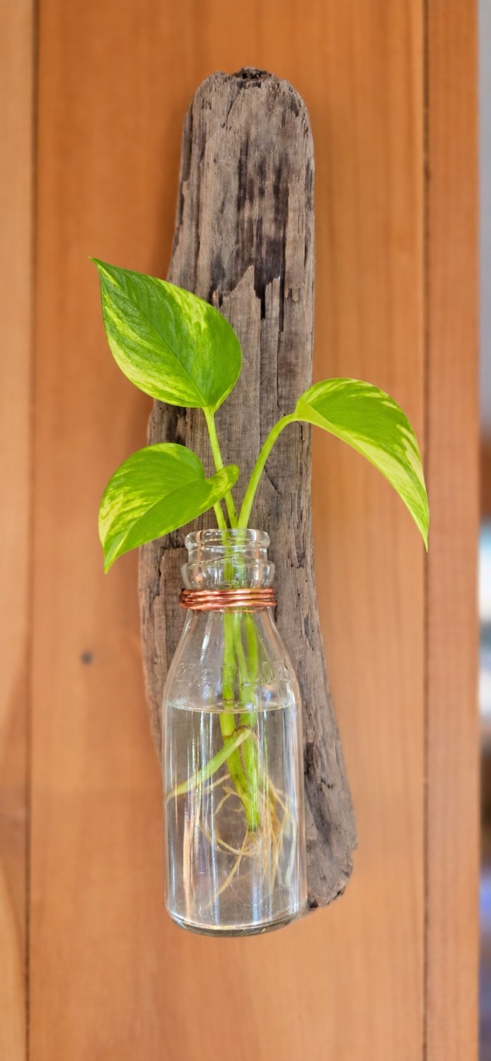Rustic Bottle Wall Vase styled with leafy cutting