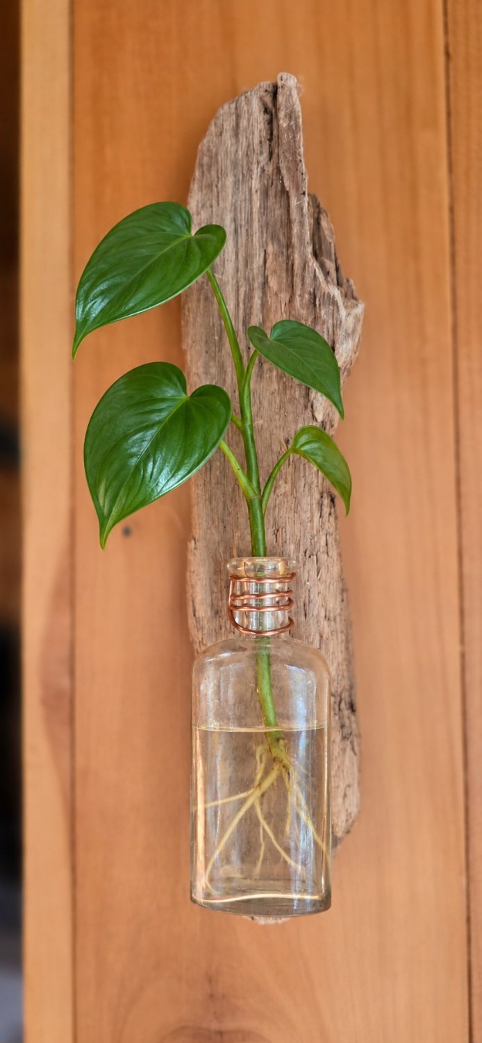 Square Bottle Wall Vase styled with leafy cutting
